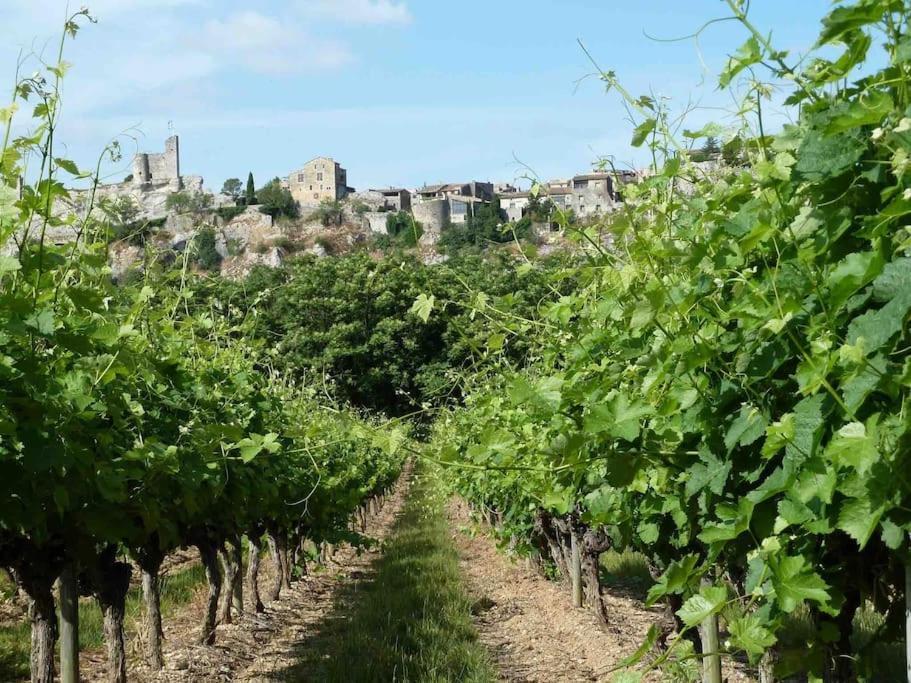 Appartement Neuf Avec Spa Saint-Martin-dʼArdèche المظهر الخارجي الصورة